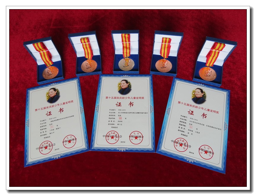 证书奖牌.JPG