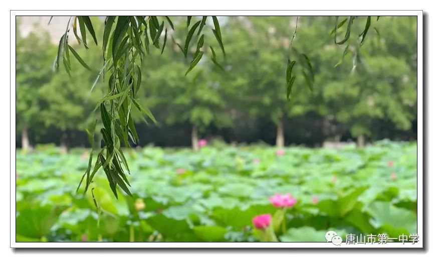 1663314635.jpg 640 (6).jpg